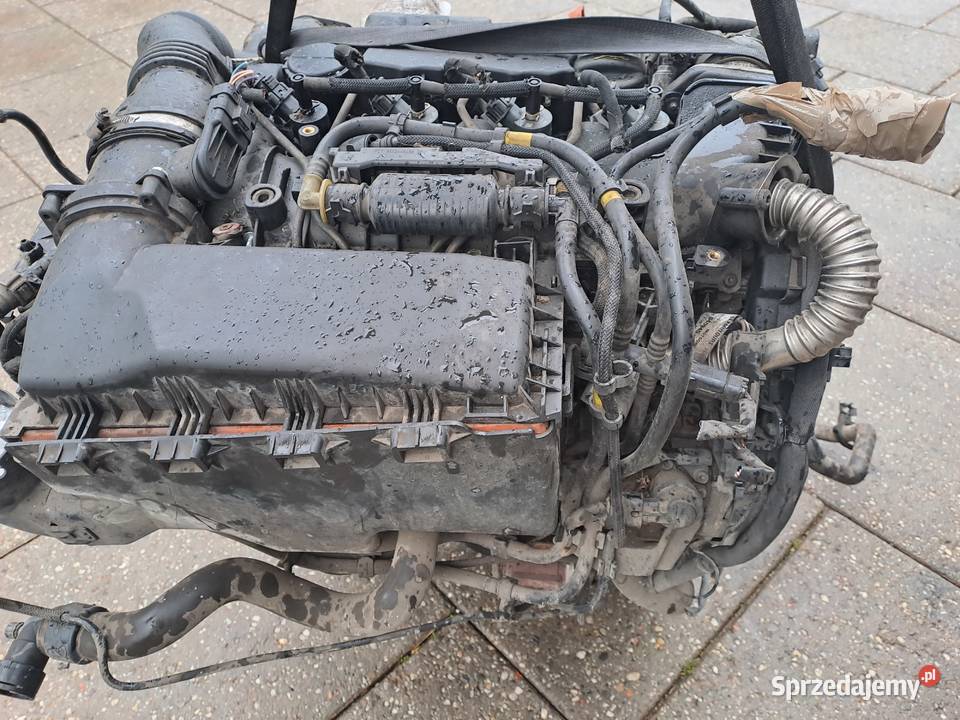 Citroen Peugeot 16 HDi 90 silnik kompletny kod Jastrzębie-Zdrój