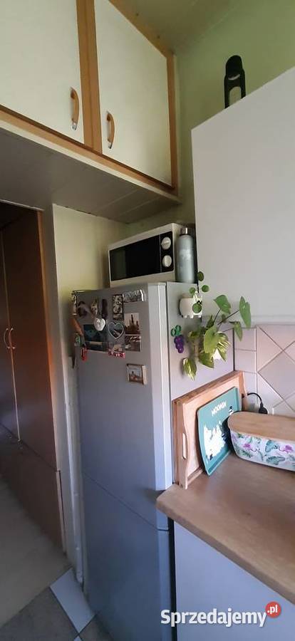 Sprzedam kawalerkę na Bałutach 3 piętra i więcej Łódź