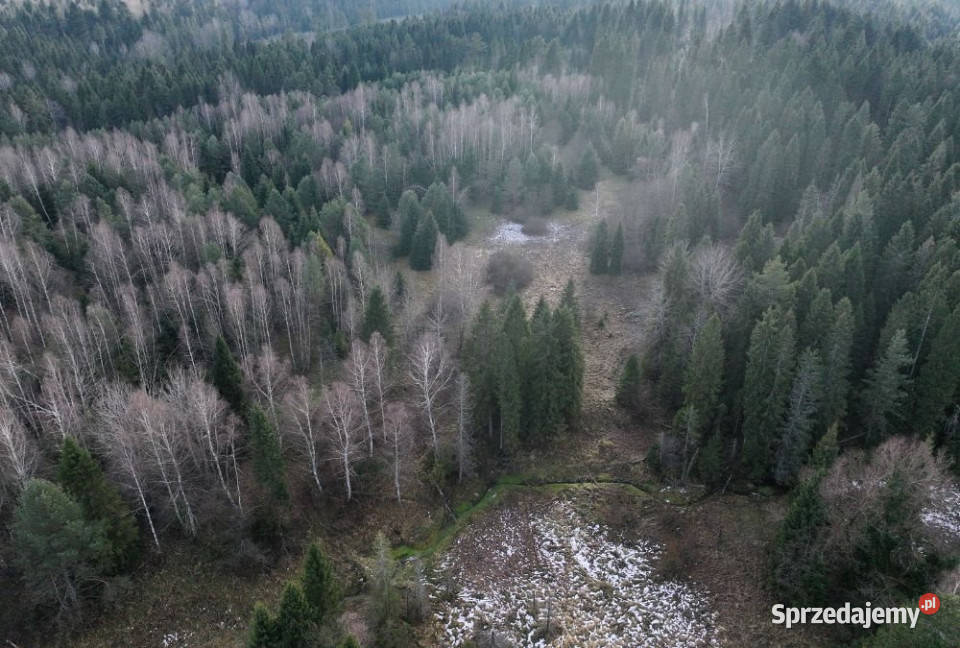 Działka Czarna 11400m2 8zł/m2 Sprzedaż