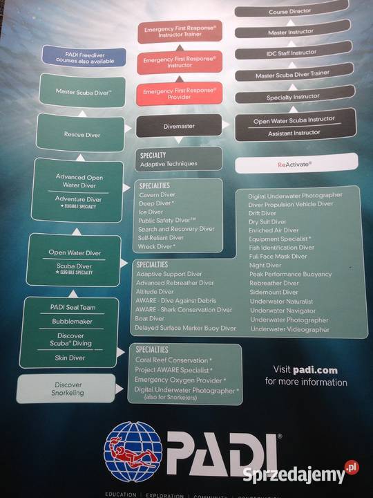Plakat Nurkowy PADI na scianę System Szkolenia śląskie
