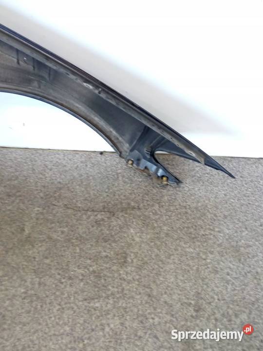 BŁOTNIK LEWY PRZÓD 668 Bmw Seria 5 VI 2010 sprzedam