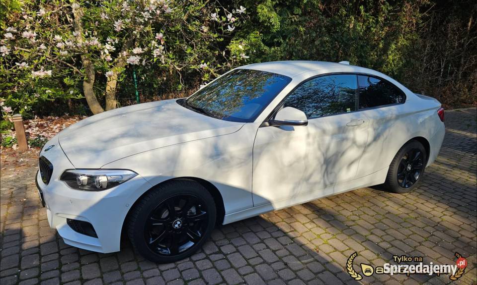 BMW Seria 2 20 1 właściciel 4x4 Bogata wersja Rok produkcji 2019 Mierzęcice