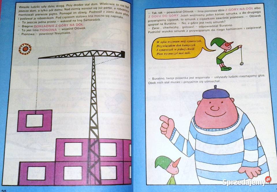 Geometria najmlodszych Władimir G Żytomirski Chełm