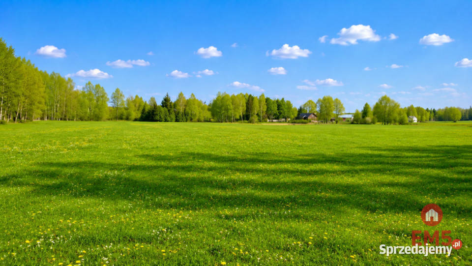 Grunt sprzedam 25280m2 Choroszcz Nowosiółki