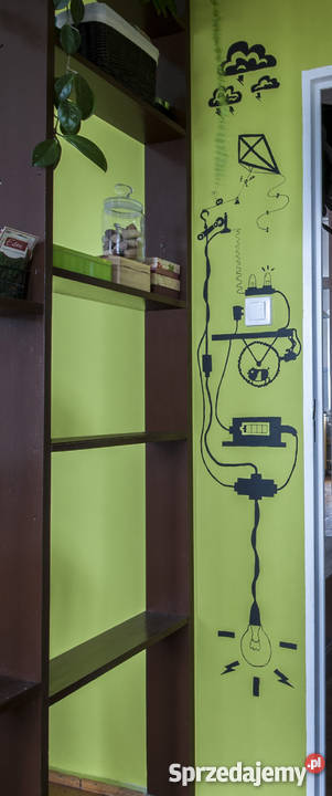 Artystyczne malowanie ścian Poznań