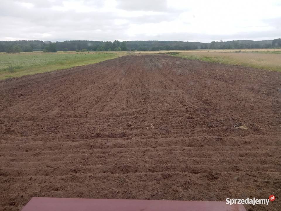 Brony polowe zębatki 3 Rolnictwo Radnica