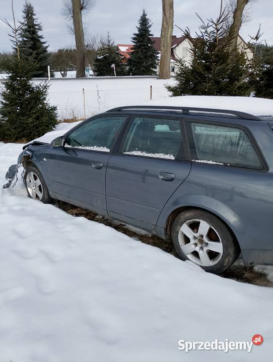 Audi A4 b6 25 głatro Frank