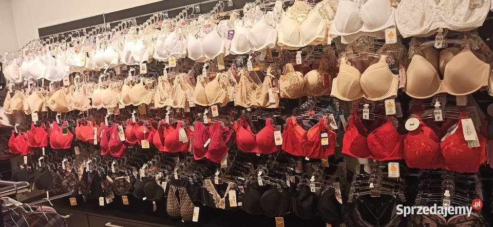 Sprzedamy hurtowo markową bieliznę Triumph zachodniopomorskie Szczecin