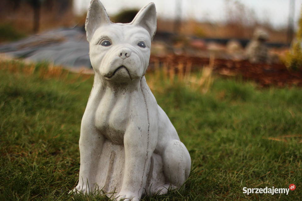 Figury rzeźby ogrodowe betonowe pies Goliszów