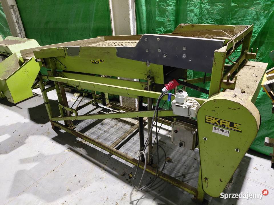 Sortownik do warzyw ziemniaki owoców Świecie