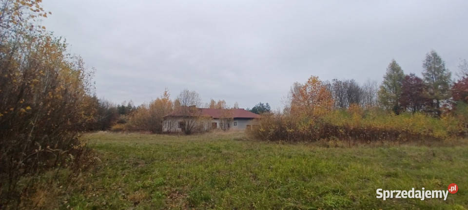 WarszawaRaszynTarczyn Posiadłość 21 ha z Tarczyn sprzedam