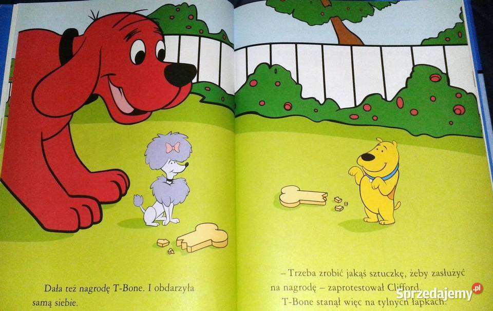 Clifforda boli brzuszek Page Josephine Norman lubelskie