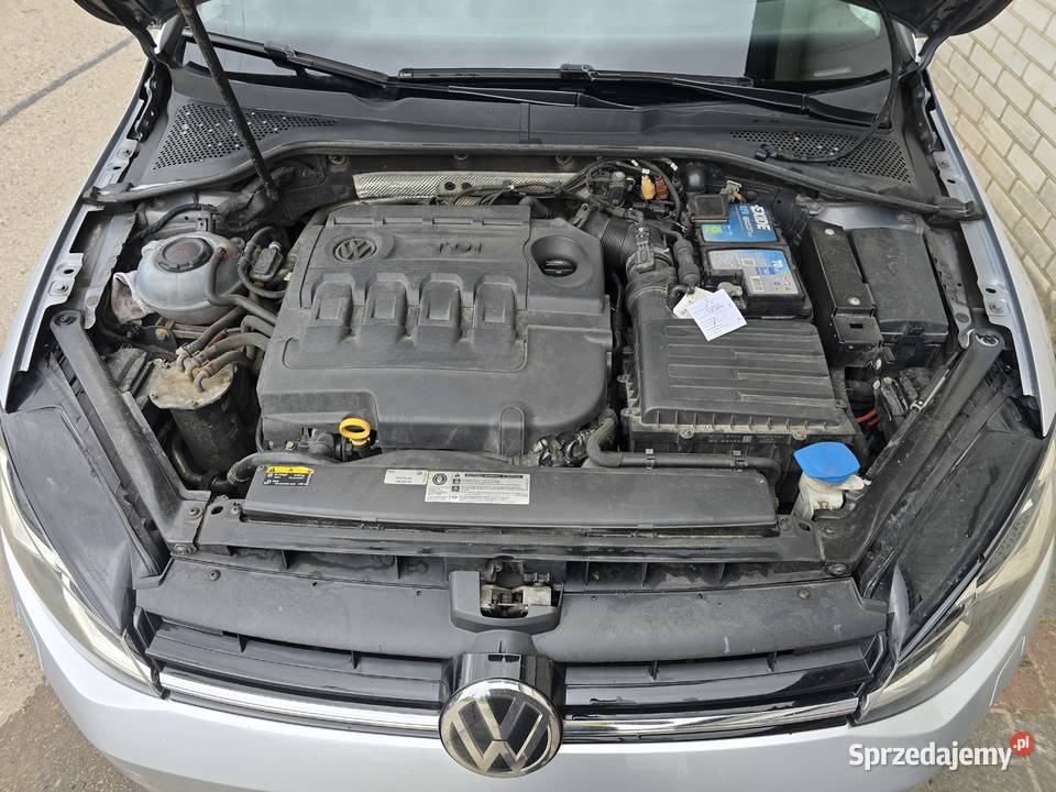 Volkswagen Golf VII Variant Comfortline 16 TDI Sulejówek