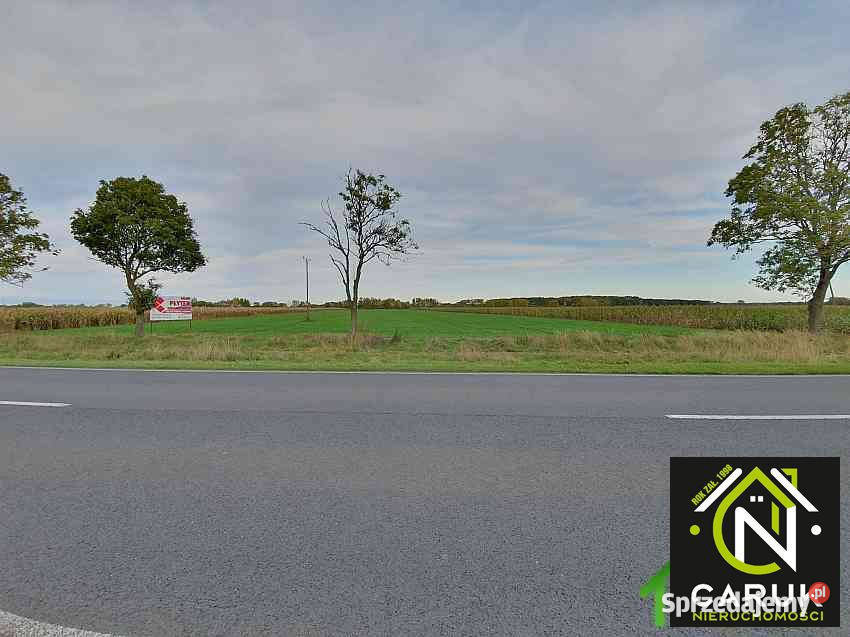 Ziemia do sprzedania 6500 metrów Dziwnówek zachodniopomorskie Kamień Pomorski