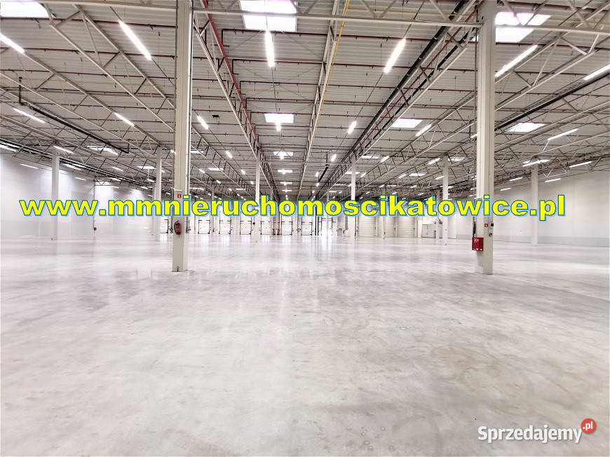 Magazyny do wynajęcie 2500 do 10450 m2 łódzkie Piotrków Trybunalski
