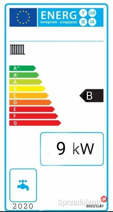 Kocioł piec DREWNO WĘGIEL 9 kW do 80 m2 Dostawa Pleszew