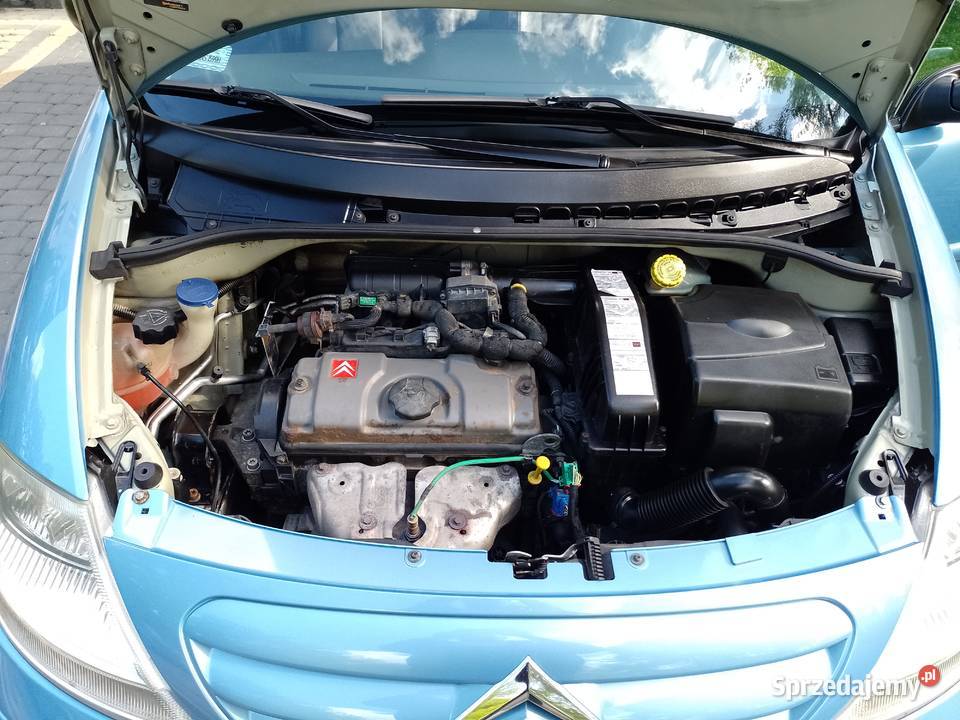 Citroen C3 2006 1400 Beznyznka Klima Skóra 1399cm3 podkarpackie Jasło