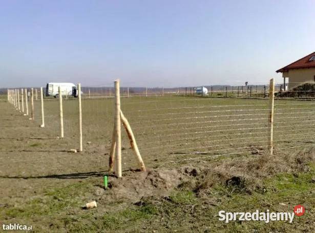 ogrodzenia tymczasowe budowy działki uprawy pola wielkopolskie Poznań