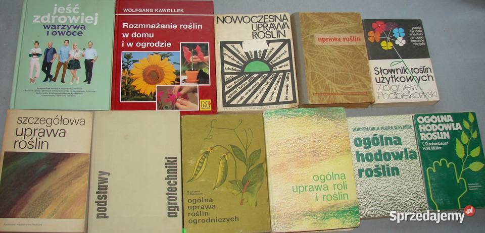 Warzywnictwo książki Radom