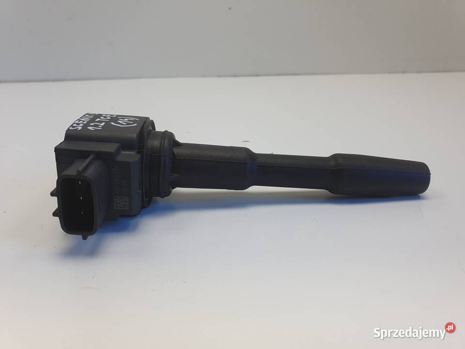 CEWKA ZAPŁONOWA Renault Scenic III 12 TCE lubelskie Rudka