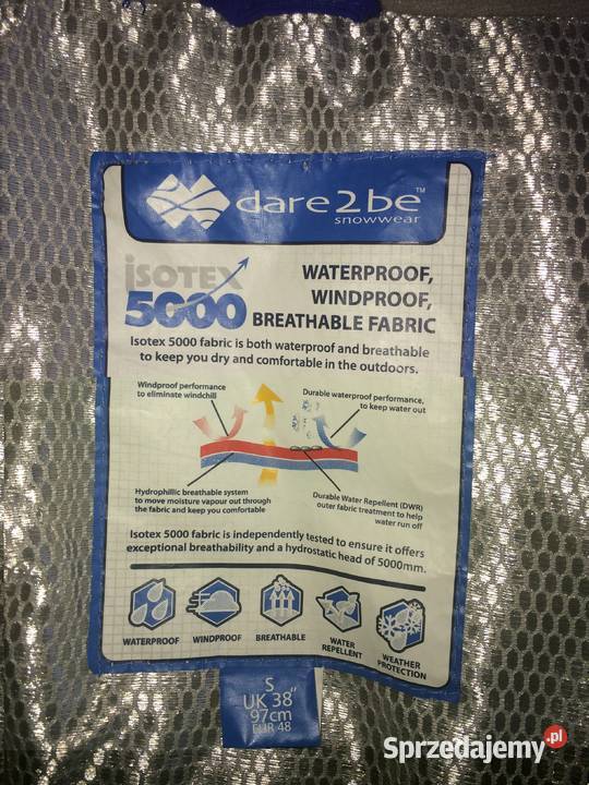 Kurka zimowa pomorskie Gdańsk