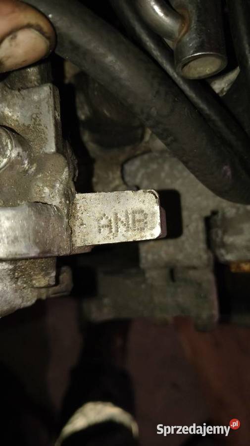 Silnik 18T ANB osobowe kujawsko-pomorskie Ciechocinek