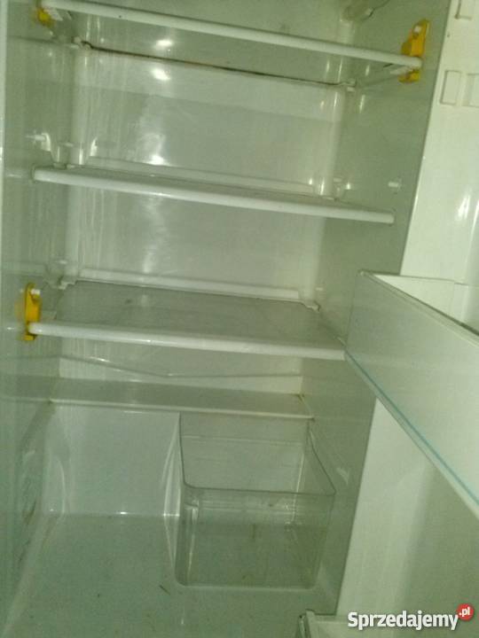 Tanio sprzedam używaną lodówkę marki Argo wolnostojące Kluczbork
