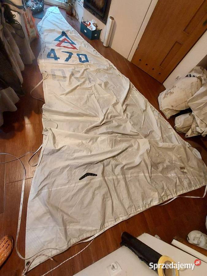 Zagiel Fok na raksy Poznań