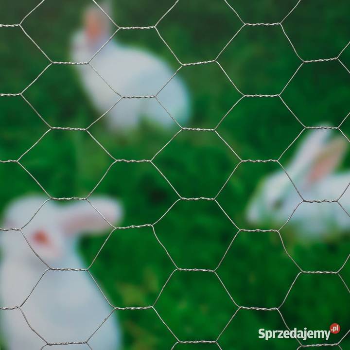 Nature Siatka z drutu sześciokątna 1x10 m 40