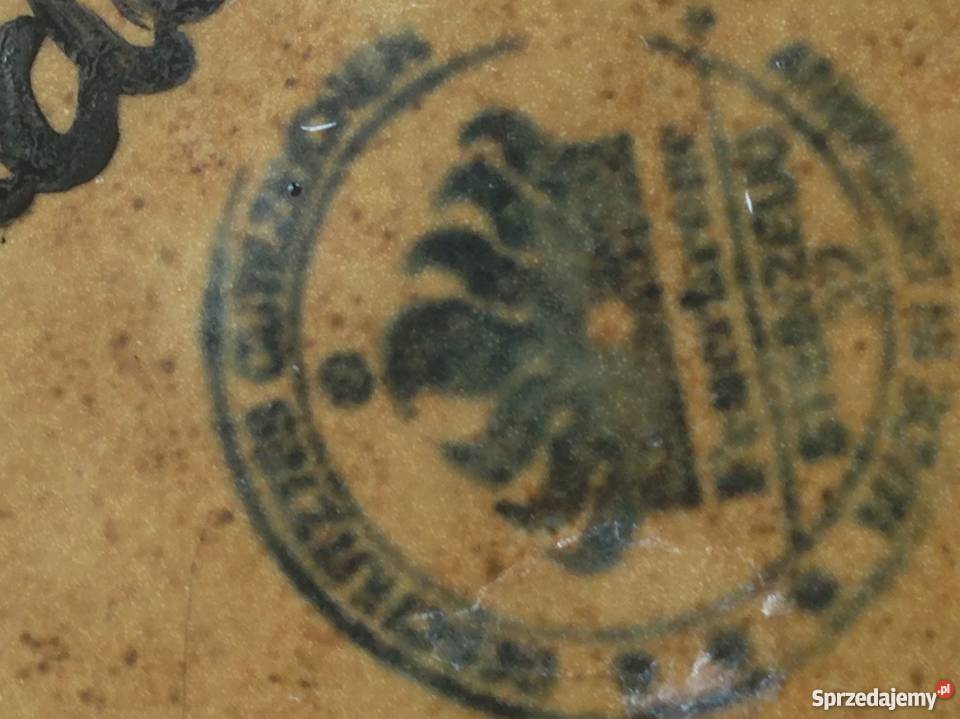 Majestatyczny prześliczny ręcznie malowany Orzeł Kraków sprzedam