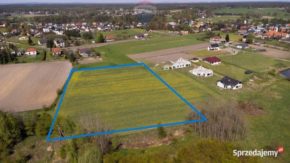 DZIAŁKA BUDOWLANA CZARKÓW KPSZCZYNY Sprzedaż