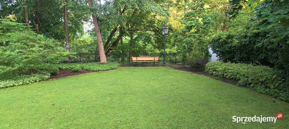 Regeneracja trawników systemy nawadniające