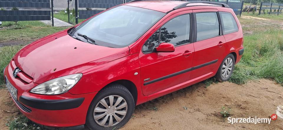 Peugeot 307 wielkopolskie