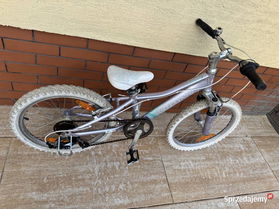Rower dziecka 20 Giant miejski bmx górski cross mazowieckie Garwolin sprzedam