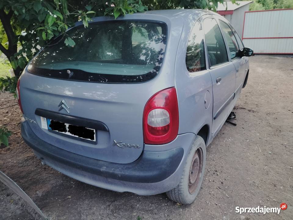 USZCZELKA KLAPY BAGAŻNIKA CITROEN XSARA PICASSO osobowe Kamień-Kolonia