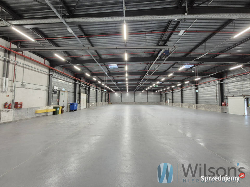 Lokal 1415m2 Warszawa Muszkieterów 1415m2