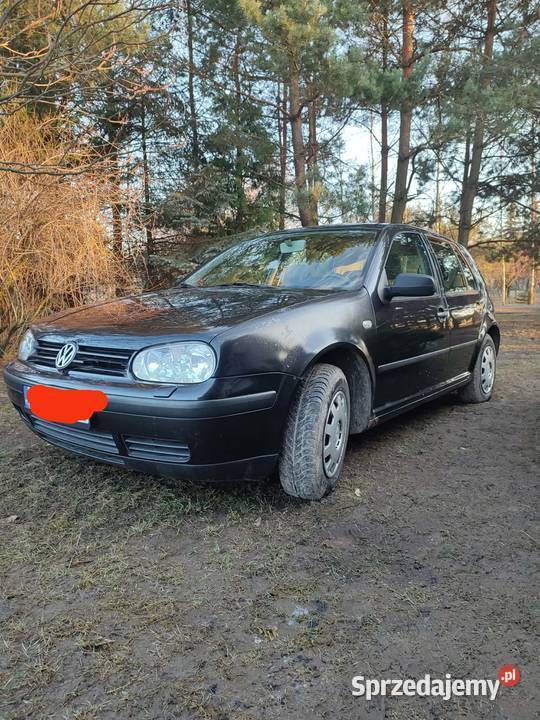 Volkswagen Golf IV Special Rok produkcji 2001 Golf Ostrów Lubelski