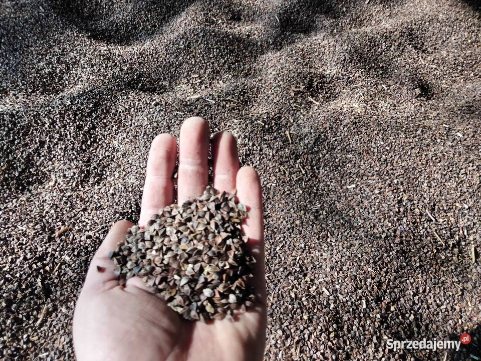 Gryka Nowowola sprzedam