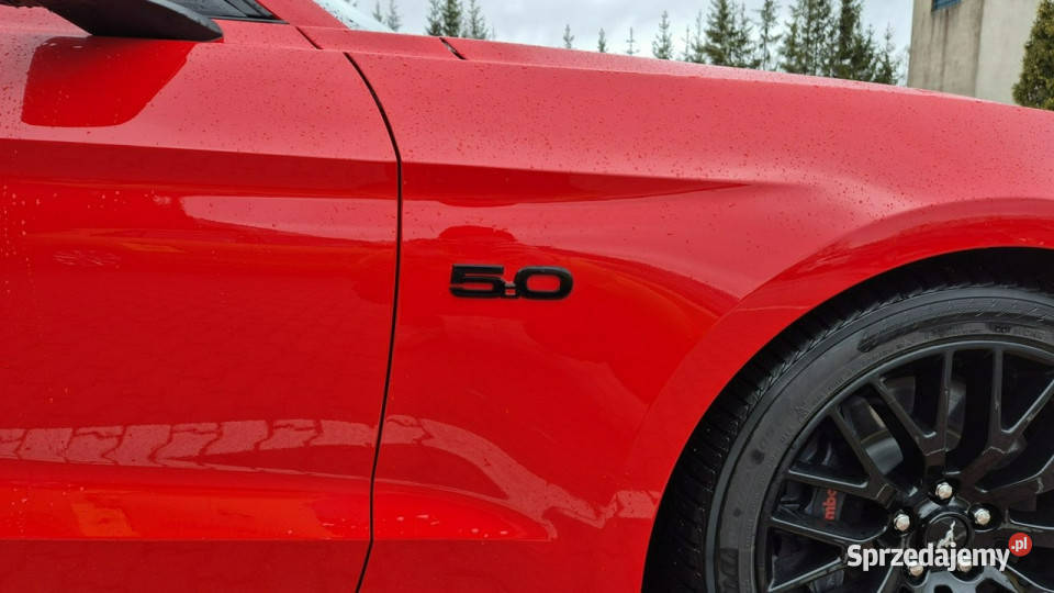 Ford Mustang Ford Mustang GT Stan Idealny Cesja Mustang warmińsko-mazurskie Giżycko