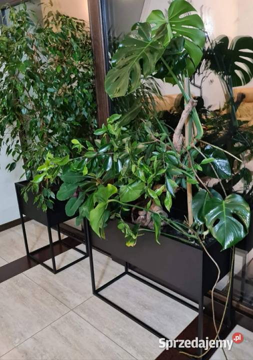 Kwietnik Metalowy Stojak Donica 60x60x30 Sobienie-Jeziory sprzedam