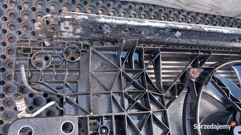 RENAULT SCENIC III 15 DCI PAS PRZEDNI KOMPLET wielkopolskie Zbierkowo