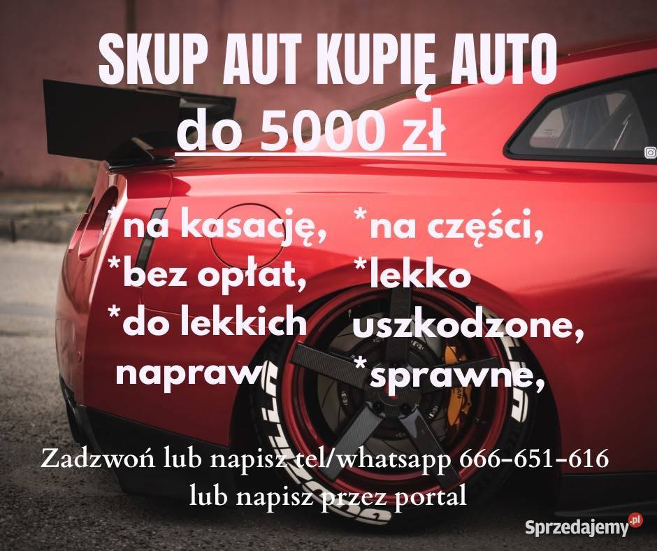 skup aut Byków