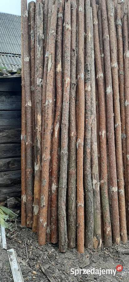 Stemple budowlane Biała Podlaska