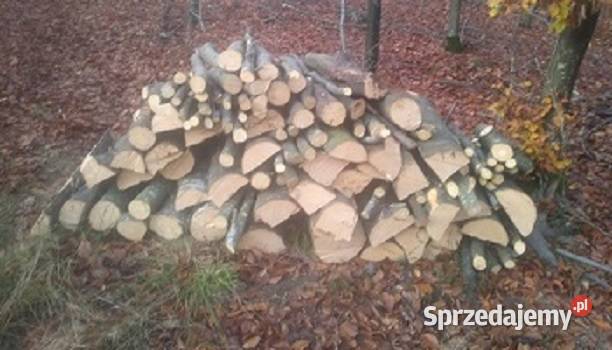 Drewno opałowe BUK Transport Koszalin