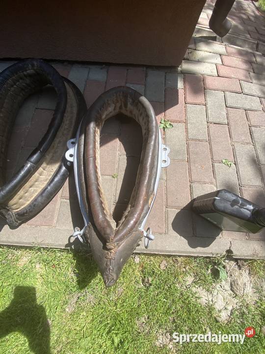 sprzedam homonty konia Urzejowice