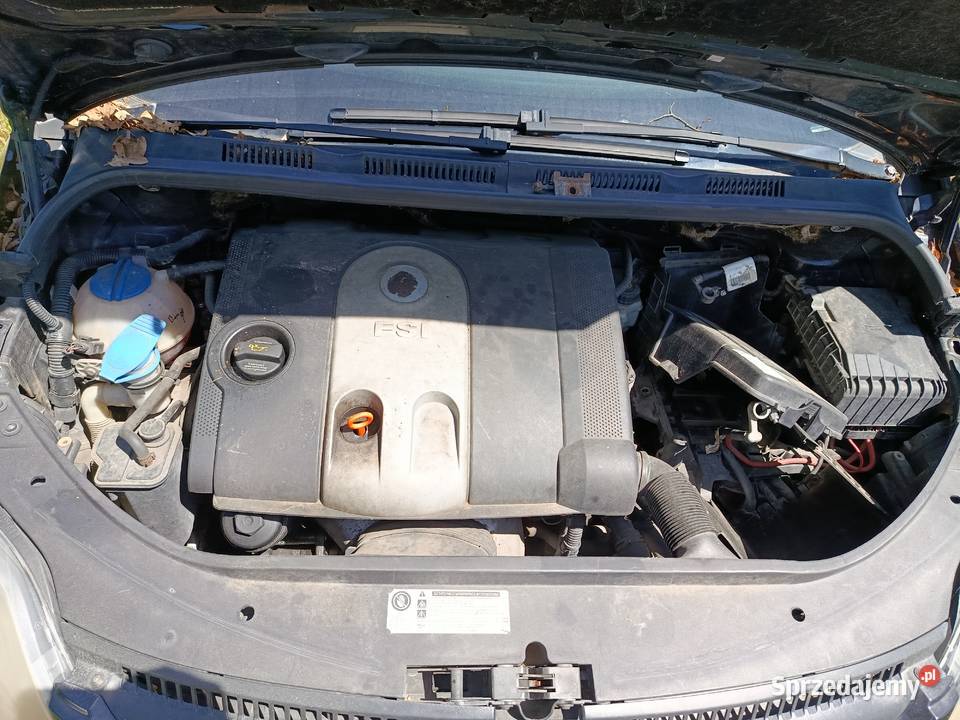 Volkswagen Golf Plus 16 FSI 85 kW 2006 r dawca osobowe Samochody na części Szklarka Myślniewska sprzedam