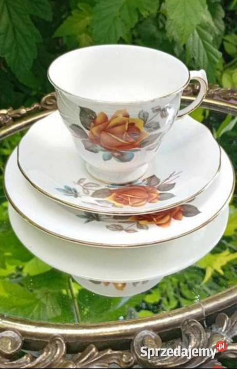 Porcelana zdobiona motywem róż Pabianice