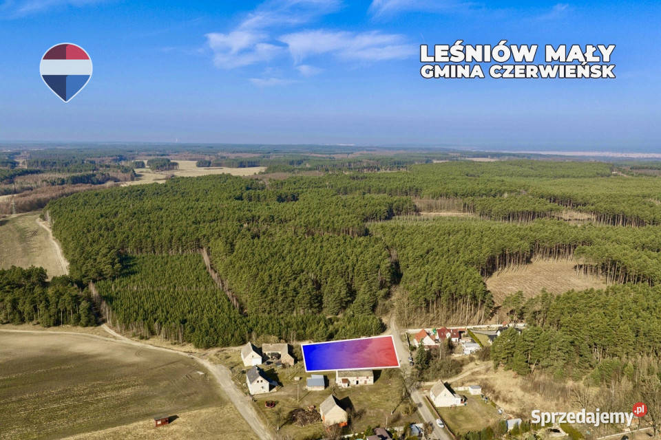 Działka lesie z warunkami zabudowy Leśniów Mały