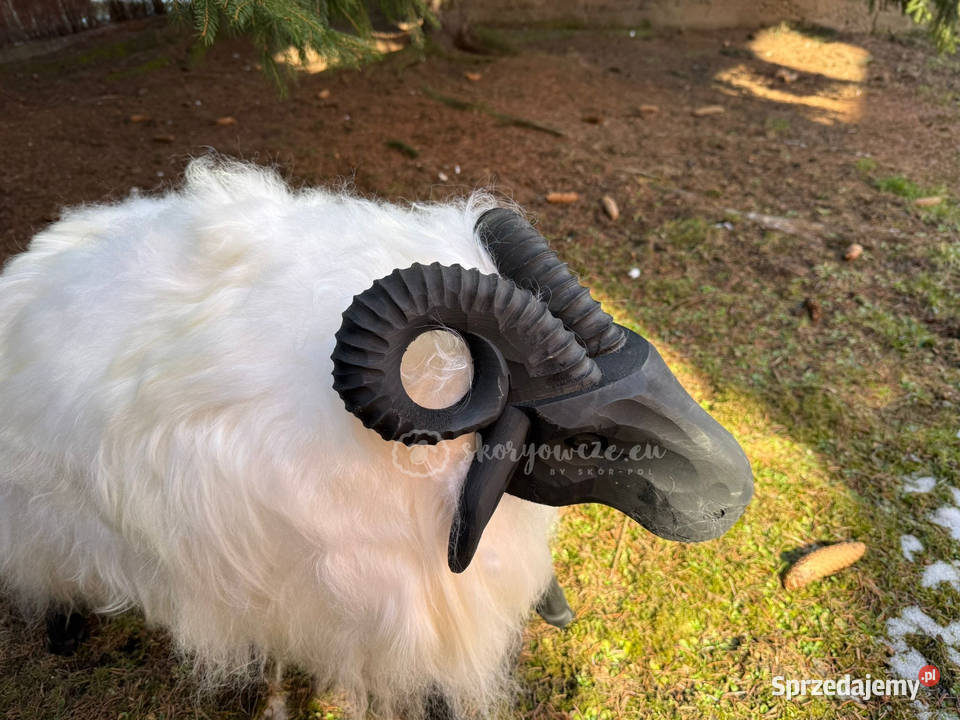 Baran dekoracyjny drewniany ze skóry owczej Szaflary sprzedam