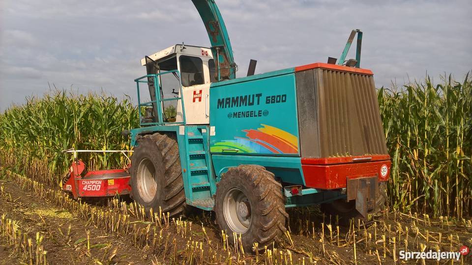 MENGELE MAMMUT 6800 KEMPER 4500 Mońki